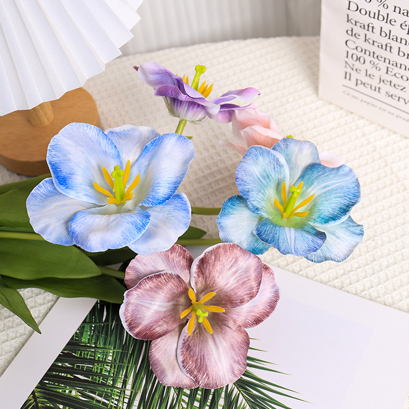 5pc 54cm Flip Tulip Gradient M - Photography Wedding recension och pris
